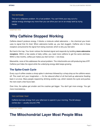 The Cellular Energy Report