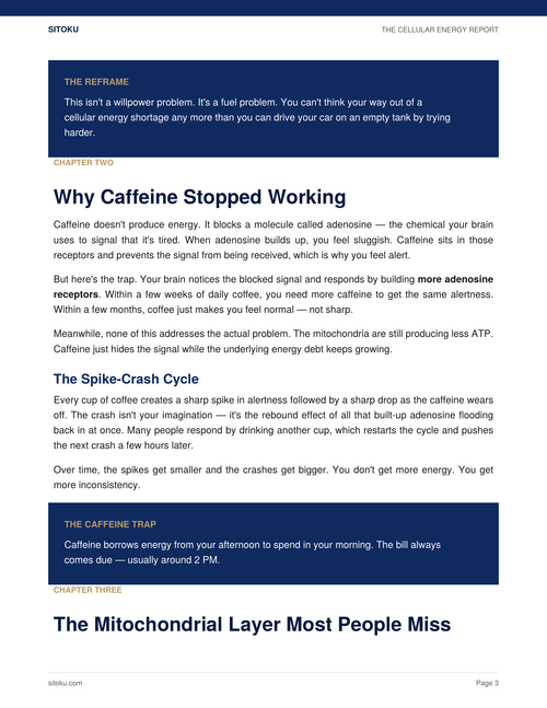 The Cellular Energy Report