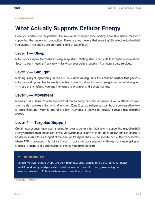 The Cellular Energy Report