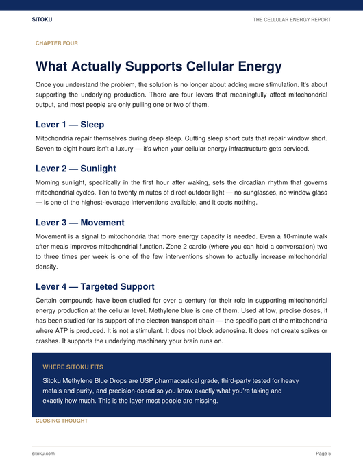 The Cellular Energy Report