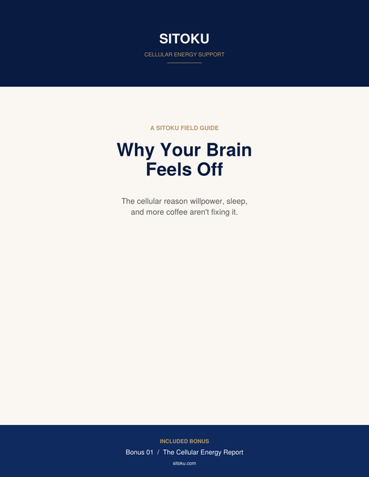 The Cellular Energy Report