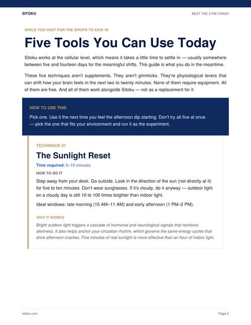 Beat The 2 PM Crash Playbook