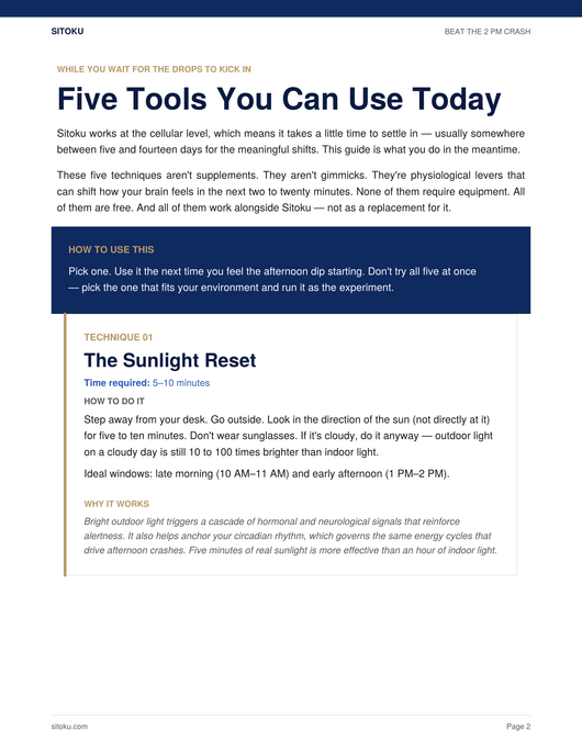 Beat The 2 PM Crash Playbook