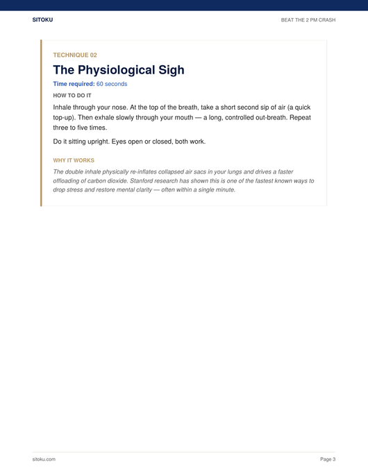 Beat The 2 PM Crash Playbook