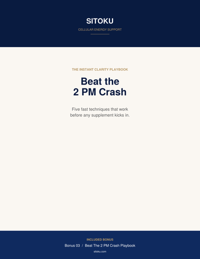 Beat The 2 PM Crash Playbook