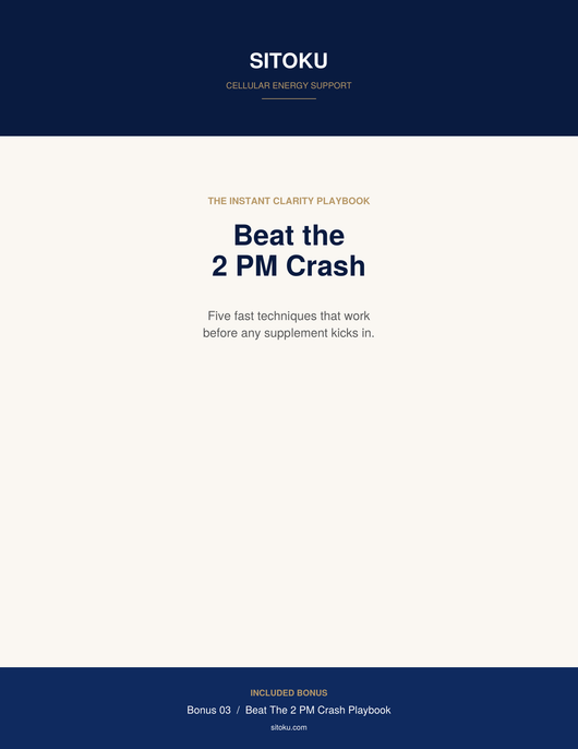 Beat The 2 PM Crash Playbook